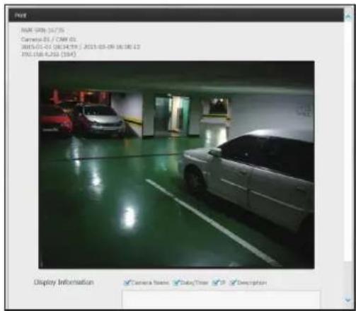 RMR 098-16/25 Camera ID / CAM ID 2015-01-07 08:34:59 / 2015-03-09 16:08:12 FNO.168.4.250 (394) Display Information Camera Items Data/View Description
