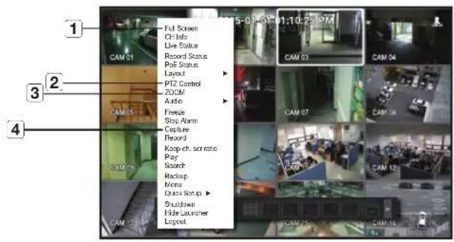Full Screen CH Info Live Status Record Status PoE Status Layout PTZ Control ZOOM Audio Freeze Stop Alarm Capture Record Koop ch. scratch Pay Search Backup Menu Quick Setup Shutdown Hide Launcher Layout