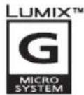 PANASONIC Lumix H-FT01 - 3