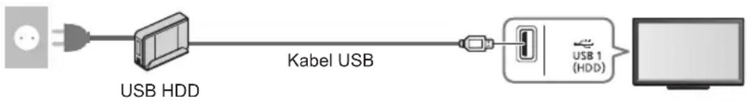 PANASONIC TX-P55STW50 - Příprava pro USB HDD - 1