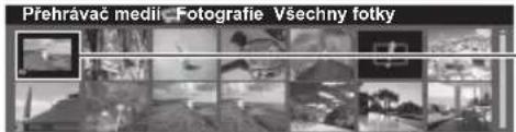 Přehrávać medii. Fotografie Všechny fotky