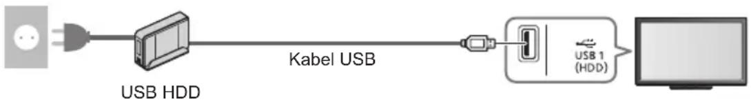PANASONIC TX-P55ST50Y - Příprava pro USB HDD - 1