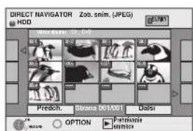 DIRECT NAVIGATOR Zob. snim. (JPEG) HDD Predich. Strana 001/001 Delta OPTION