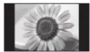 PANASONIC TX-P50X10Y - Nezobrazovat klidný obraz po dlouhou dobu - 1