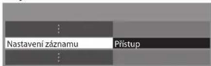 Nastavení záznamu Přístup