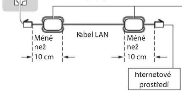 PANASONIC TX-P50GW30 - Připojování k sítovému prostředí (Sítová připojení) - 2