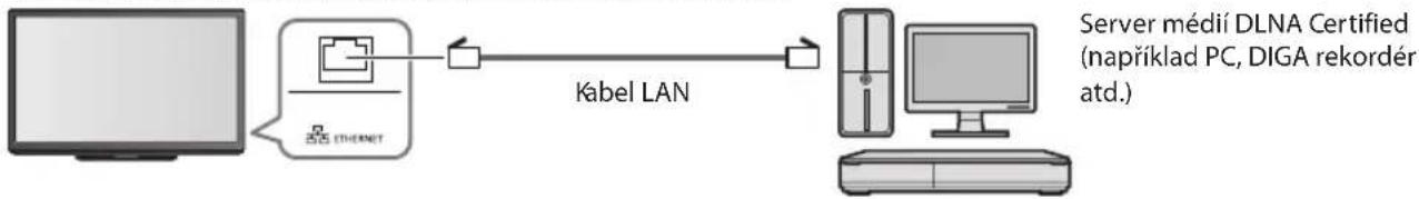 PANASONIC TX-P46GTN33 - (ProDLNA) - 1