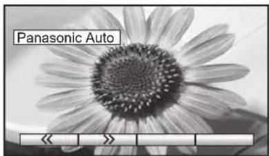 Panasonic Auto << >>
