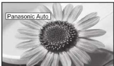 Panasonic Auto