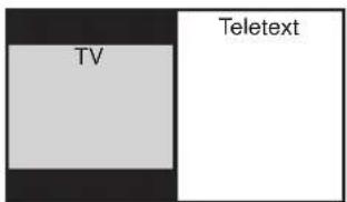 PANASONIC Viera TX-32LX1P - Obraz a text - 5