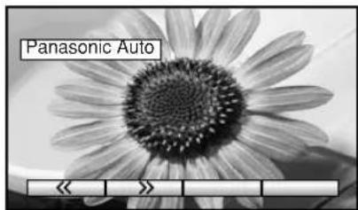 Panasonic Auto