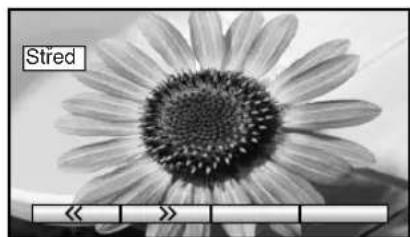 PANASONIC Viera TX-32LX1P - 16:9 - 3