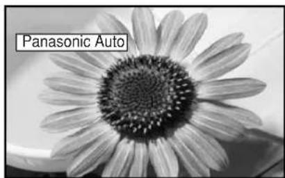 Panasonic Auto