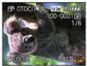 OTOCTM 14.9x 17.0 100-0001 1/6 AUSTON WO NAST