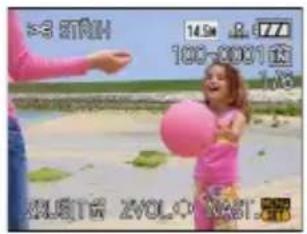 >3 STRH 14.50 2.477 100-0001金 100 ALISTW ZWOLO 061.57