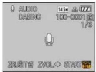 0 AUDIO DASING 14.5W 2.4ZZ 100-0001 R 1/8 ZUATE ZVOL+ STAT
