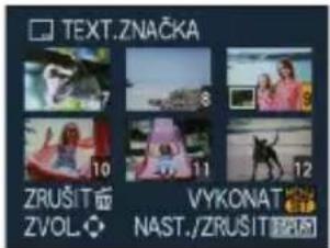 TEXT.ZNAČKA ZRUŠIT ZVOL VYKONAT NAST./ZRUŠIT