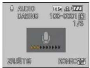 AUDIO DASING 14.5V 8723 100-0001Hz 1/5 ZUJET KONEC