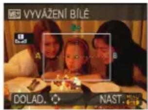 VYVÁŽENÍ BÍLÉ DOLAD. NAST.