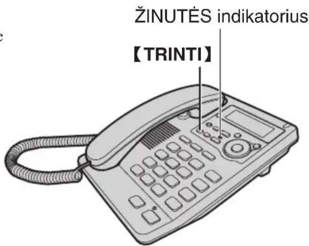 ŽINUTÉS indikatorius 【TRINTI】