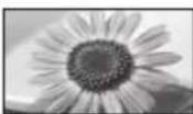 PANASONIC Viera TX-L32EM6Y - Poměr stran - 7