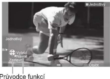 Jednotlivý Jednotlivý Vybrat Návrat Zastavit Průvodce funkcí Otočit