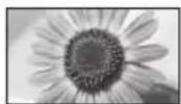 PANASONIC Viera TX-L32EM6Y - Poměr stran - 11