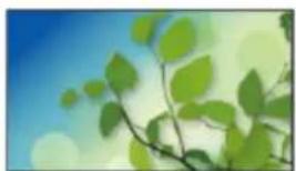 PANASONIC Viera TX-65CR850E - Informace - 2