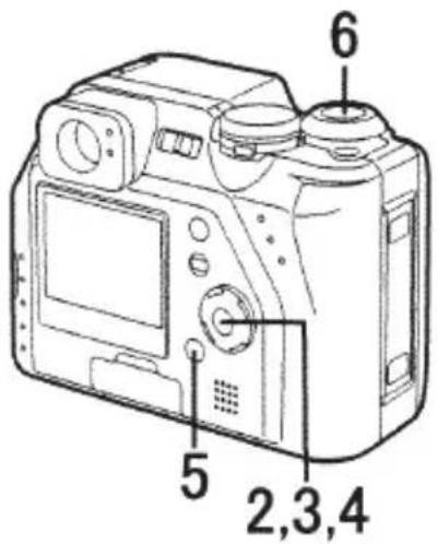 6 5 2,3,4