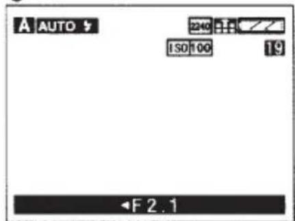 AUTO ISO 100 19 F 2.1