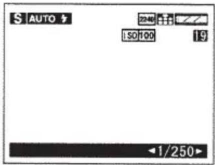 AUTO ISO 100 19 <1/250>