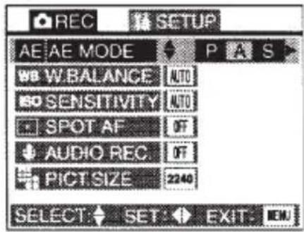 REC SETUP AE AE MODE WB W.BALANCE AUTO ISO SENSITIVITY AUTO SPOT AF OT AUDIO REC OT PICT SIZE 2240 SELECT SET EXIT