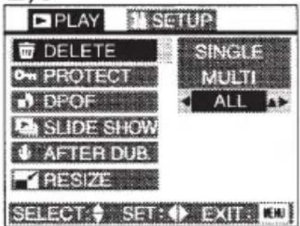 PLAY SETUP DELETE PROTECT DPOF SLIDE SHOW AFTER DUB. RESIZE SINGLE MULTI ALL SELECT SET EXIT