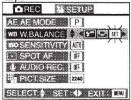 REC SETUP AE AE MODE P WB W.BALANCE SO SENSITIVITY AUTO SPOT AF OF AUDIO REC. OF PICT.SIZE 2240 SELECT SET EXIT: 100