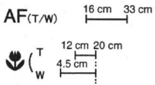 AF(T/W) 16 cm 33 cm T 12 cm 20 cm W 4.5 cm