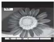 PANASONIC Viera TX-20LA7P - Auto - 1