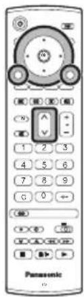 Panasonic