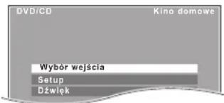 DVD/CD Kino domowe Wybór wejścia Setup Dźwięk