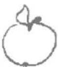 Zelmer ZJP1300B - Apple juice - 1
