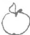 Zelmer ZJE1200G - Apple juice - 1