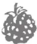 Zelmer ZJP1600W - Blackberry juice - 1
