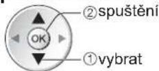 PANASONIC TX-L19D28 - Tlačítko prímého záznamu DIRECT TV REC - Co vidíte, to nahráváte Direct TV Rec - 3