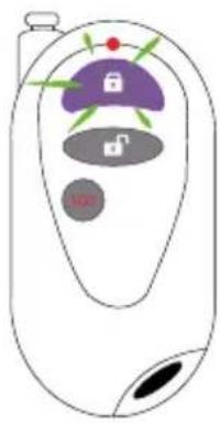 Steren CCTV-2000 - MONITORING - 2