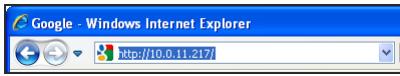 Google - Windows Internet Explorer http://10.0.11.217/