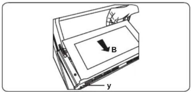 B y