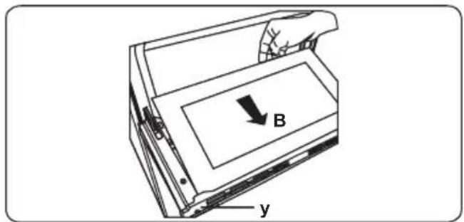B y