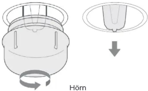 Hörn