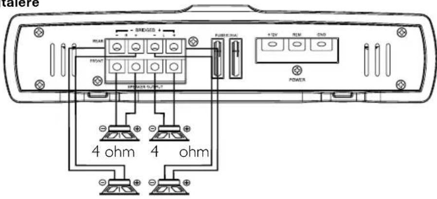 talere SHEDGED REAR FRONT SPRINGER FLOW? FURBENTAL +12V REM END POWER 4 ohm 4 ohm