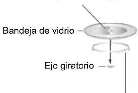 Bandeja de vidrio Eje giratorio