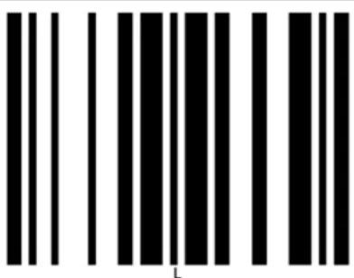 Elgin EL5220 - ASCII Table - 47